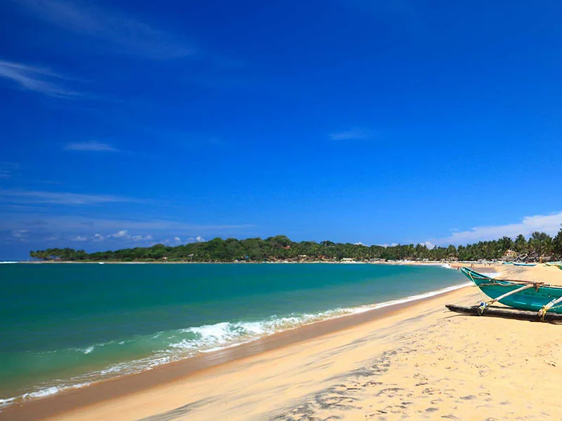 Arugam Bay
