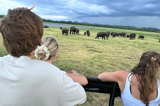Minneriya Wild Elephant Gathering