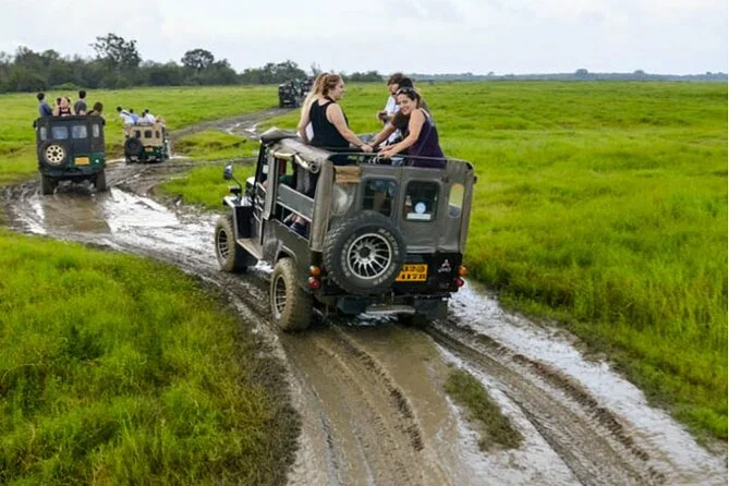 Kaudulla National Park Elephant Gathering