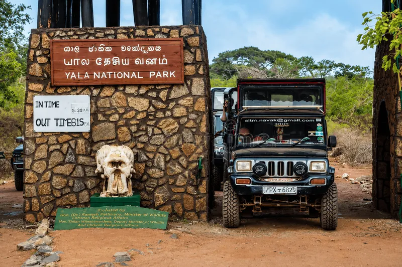 Yala Wildlife Game Drive Experience